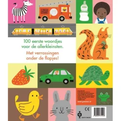 Kinderboeken*Boeken 100 Eerste woordjes Multi