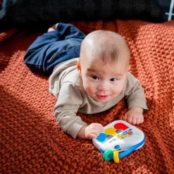 Interactief Speelgoed*Baby Einstein Petit Piano Multi