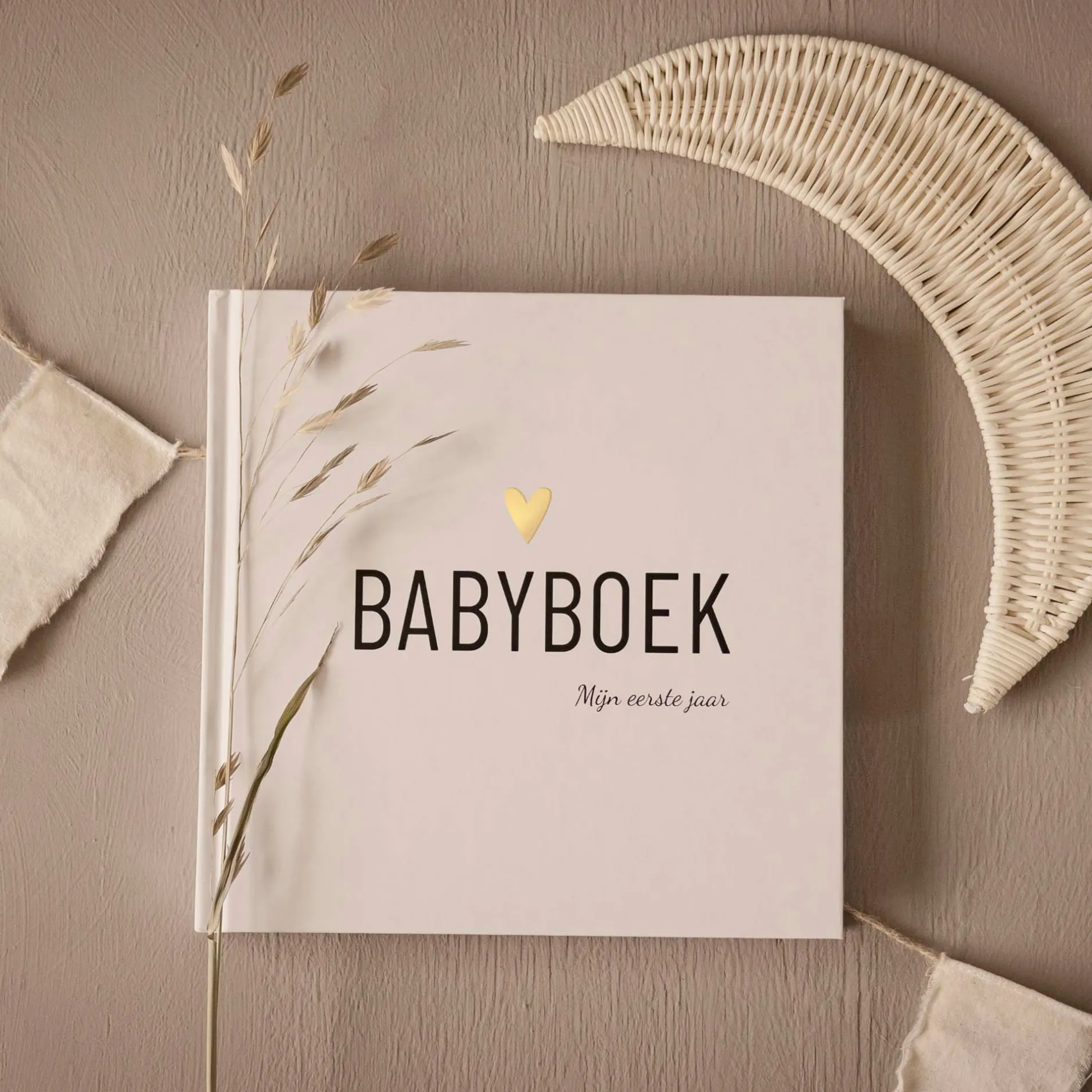 Feestartikelen|Boeken Voor Ouders*Boeken Babyboek - Mijn eerste jaar White