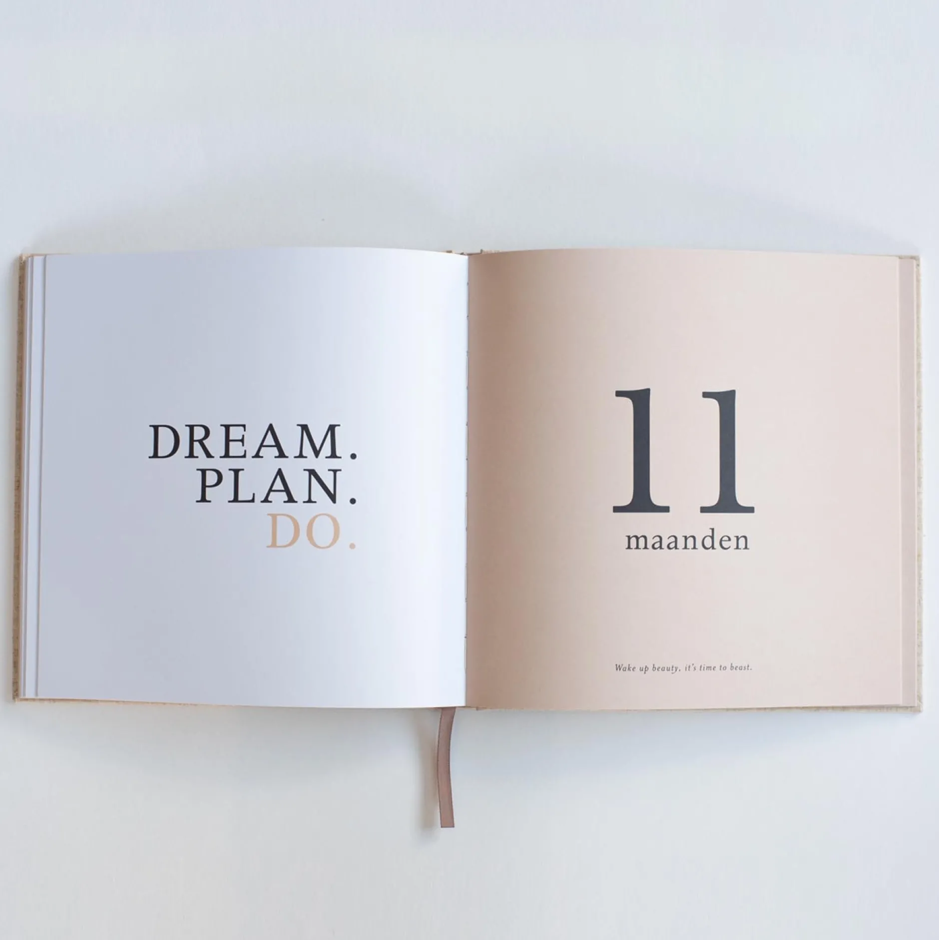 Feestartikelen|Invulboeken*Boeken Eerste jaar invulboek Beigebrown