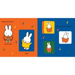 Kinderboeken*Nijntje Het grote flapjesboek Multi