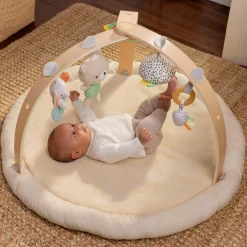 Speelkleden & Babygyms*Ingenuity Every Season activity gym Beigebrown