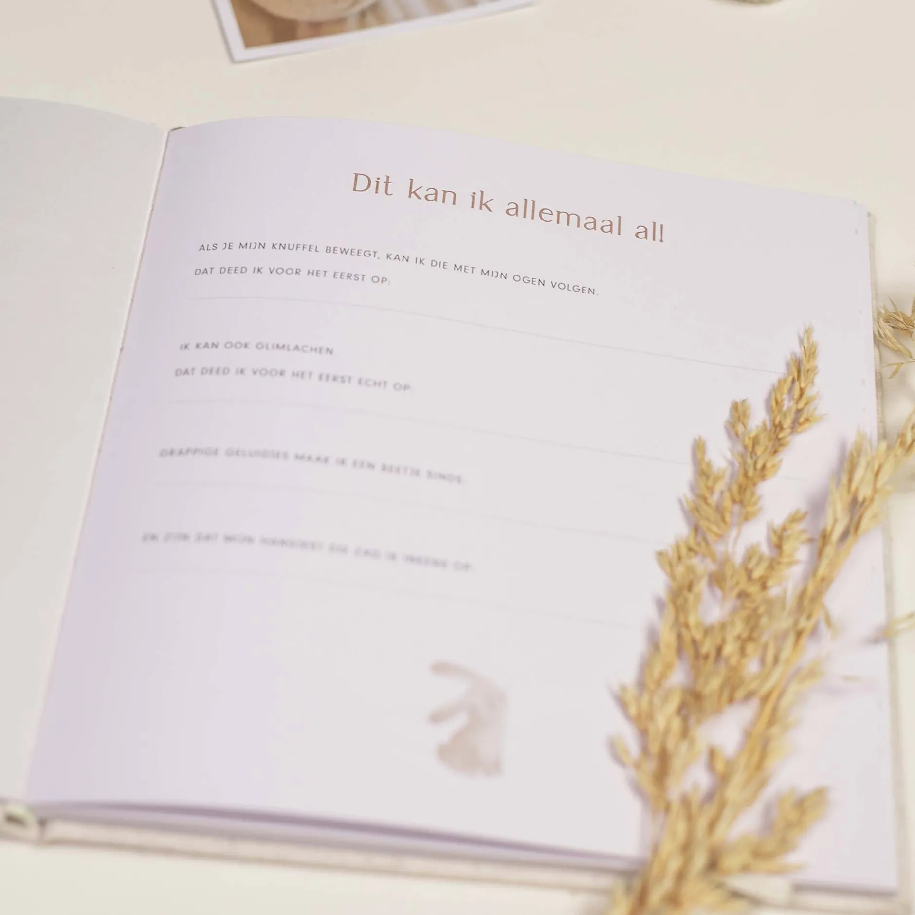 Feestartikelen|Invulboeken*Little Dutch Invulboek Eerste jaar Beigebrown