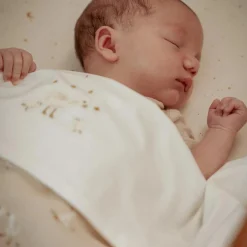 Dekens*Little Dutch wiegdeken Little Goose beige