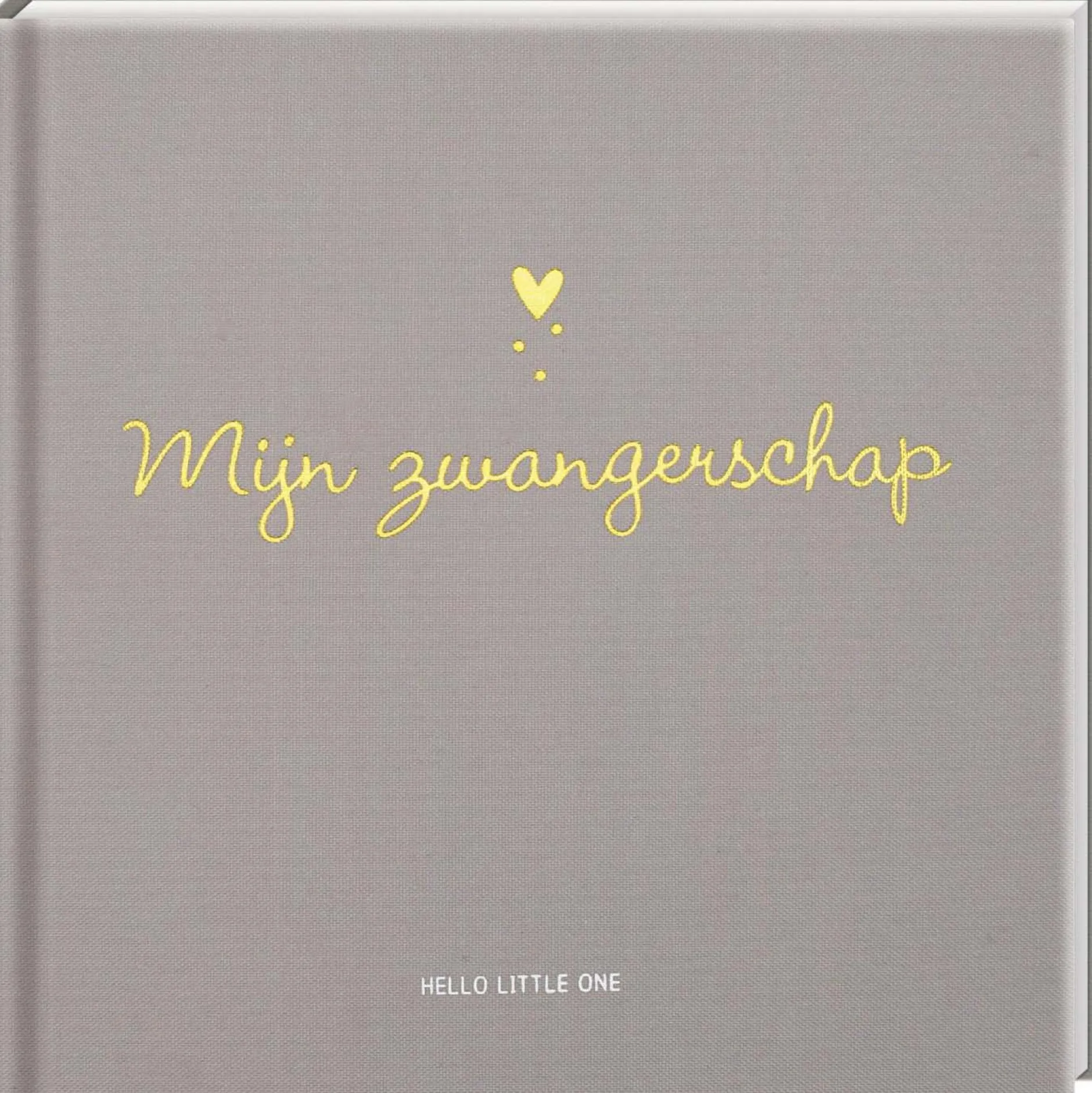 Zwangerschapsboeken*Boeken Mijn Zwangerschap Lightgrey