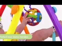 Speelkleden & Babygyms*Playgro Fold & Go gym Multi