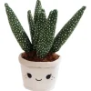 Overige Accessoires*Div. Merken Pluche plant cactus 19cm beige