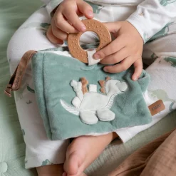 Buggyboekjes|Speelgoed Voor Onderweg*Prénatal buggyboekje dino Midgreen