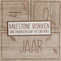 Feestartikelen|Kraamcadeaus*Prénatal milestone blokken hout Brown