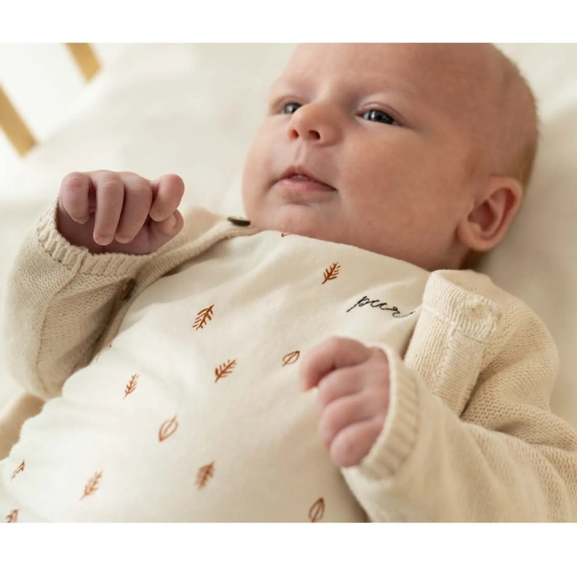 Truien & Vesten|Truien & Vesten*Prénatal newborn vest Pure lange mouwen effen beige Dark Ecru Melange