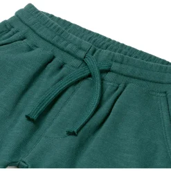 Broeken & Tuinbroeken|Broeken & Leggings*Prénatal peuter broek effen groen Green Blue