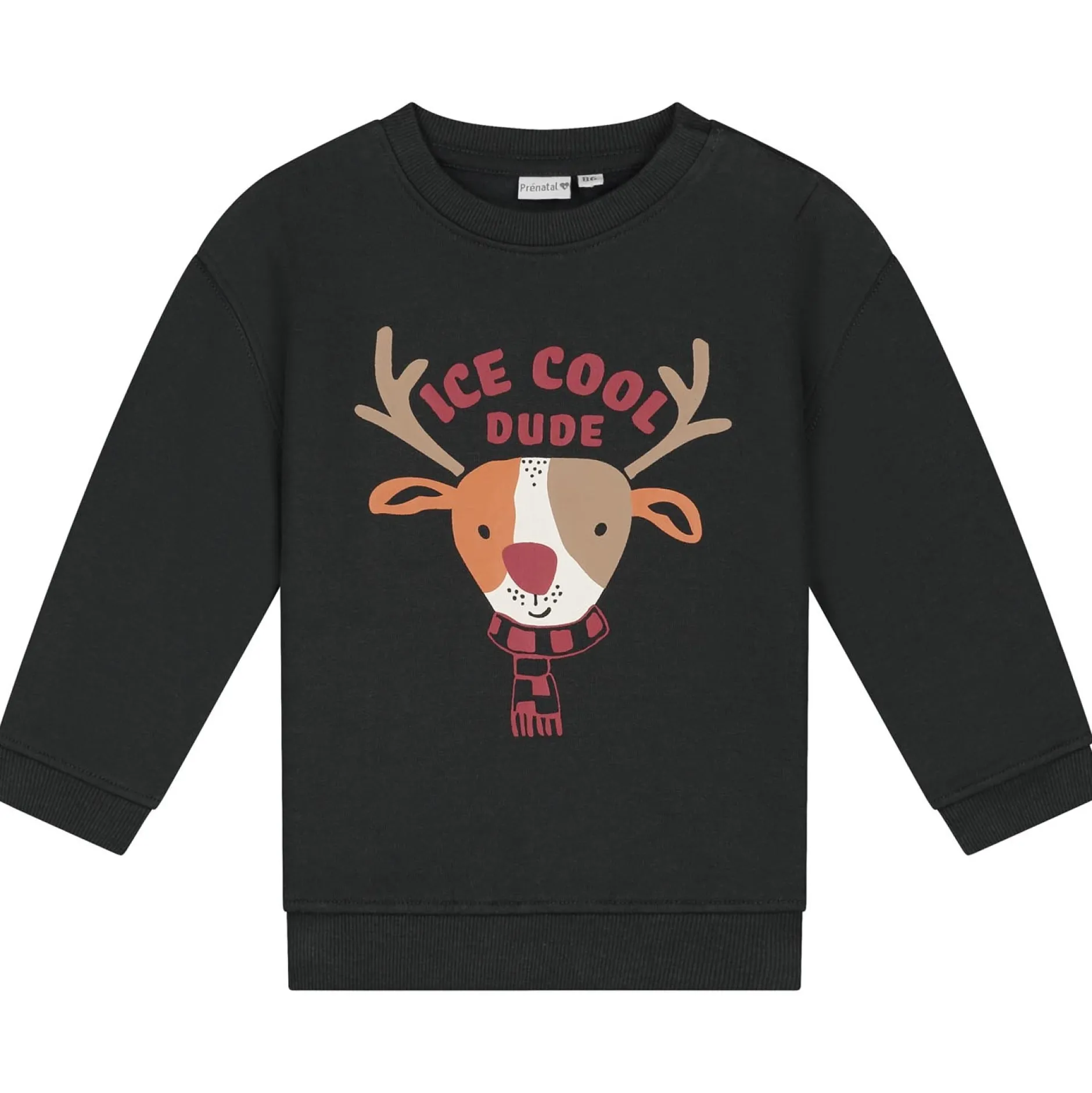 Truien & Vesten|Truien & Sweaters*Prénatal peuter sweater lange mouwen printopdruk grijs Grey