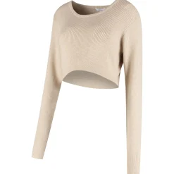 Truien & Vesten*Prénatal zwangerschapstrui lange mouwen effen beige Light Brown Melange