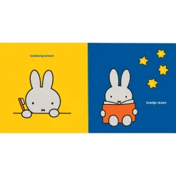 Kinderboeken*Nijntje weltruste , met lichtjes op elke pagina Multi
