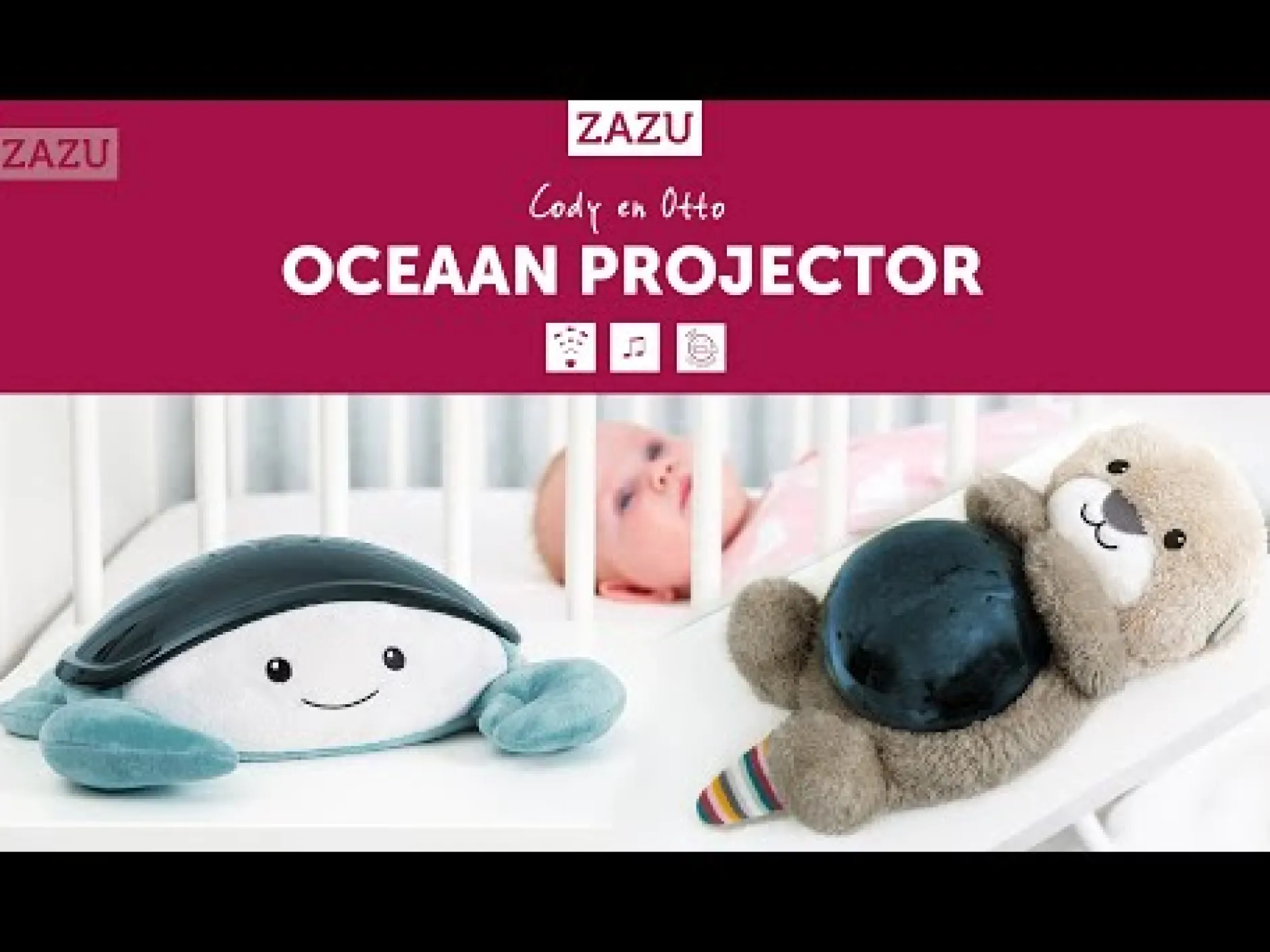 Projectors*Zazu projector otto de otter bruin