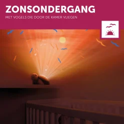 Projectors*Zazu projector tim de schildpad wit