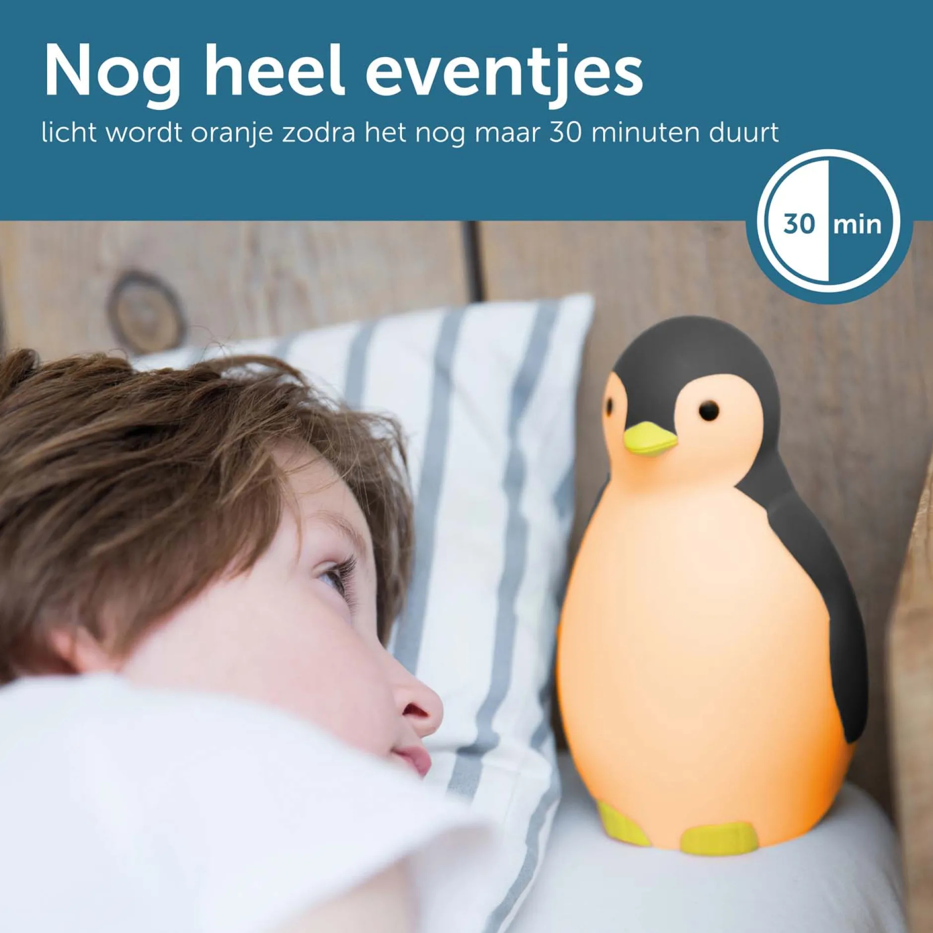 Slaaptrainers|Nachtlampjes*Zazu slaaptrainer nachtlamp met muziek Pam grijs grijs