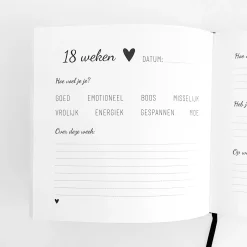 Zwangerschapsboeken*Boeken Zwanger - Mijn 9 maanden dagboek White