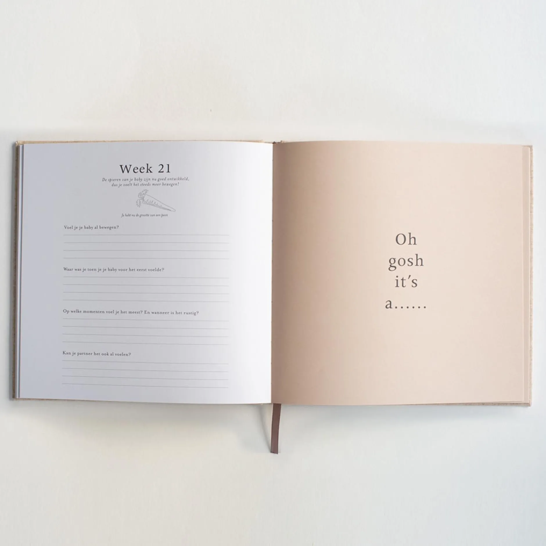Zwangerschapsboeken*Boeken Zwangerschapsdagboek Beigebrown